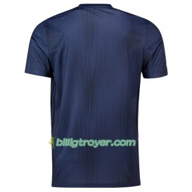 Billige Fotballdrakter Manchester United 2018/19 Tredjedraktsett Kortermet